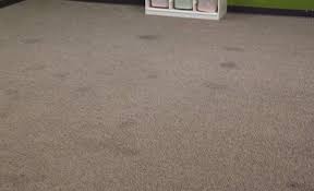 citrusolution carpet cleaning