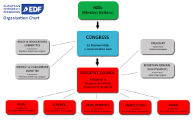 Organisation Chart Edf
