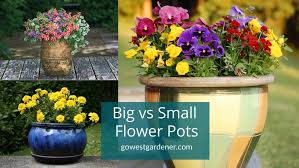 should i big or small flower pots