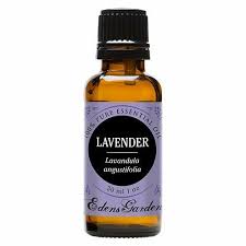 edens garden essential oil lavender 100