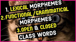 Lexical morphemes are the meaning bearers of sentences. Lexical Morphemes Functional Morphemes Grammatical Morphemes Open And Closed Class Words Youtube