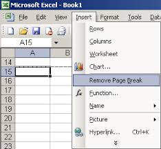 removing page breaks microsoft excel 2003