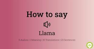 how to ounce llama in spanish