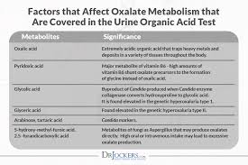 Could You Benefit From A Low Oxalate Diet Drjockers Com