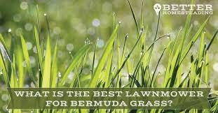 Choosing The Best Lawn Mower For Bermuda Grass Quick Guide