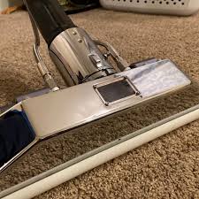 local carpet cleaning company vs diy