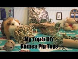 own toys for your guinea pigs