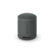 portable bluetooth speaker srs xb100 black