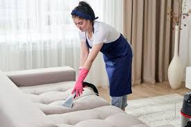 Remove Mold From Fabric Furniture