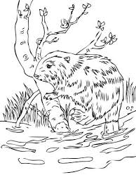 Maze game with beaver and wood logs coloring book vector. Beavers Coloring Pages Kizi Coloring Pages