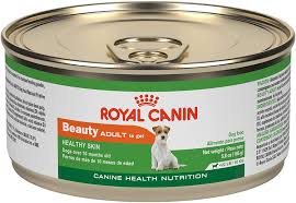 / royal canin dog food. Royal Canin Canine Health Nutrition Adult Beauty In Gel Canned Dog Food 5 8 Oz Can Pack Of 24 Canned Wet Pet Food Pet Supplies Amazon Com
