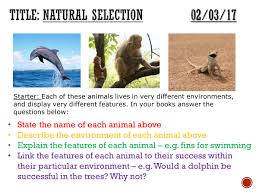 Selection read the following situations below and identify the 5 points of darwins natural selection. Evolution Natural Selection Complete Lesson Ks3 Teaching Resources