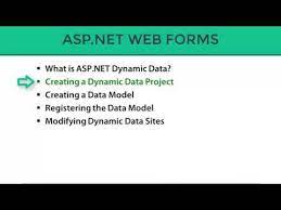 asp net dynamic data