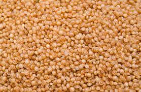 amaranth grain nutrition facts