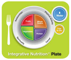insute for integrative nutrition