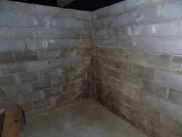Basement Mold Remediation And Removal