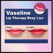 vaseline lip therapy 2 stuks rosy lips