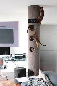 cardboard cat tower foter