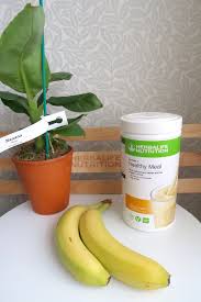 herbalife banana cream healthy meal with a banana plant and a bunch of bananas