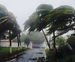 The weather department also issued red alerts in malappuram, kozhikode, wayanad, kannur and kasaragod for may 15, as the weather conditions triggered heavy rains across the state. Tauktae First Cyclone Of 2021 Likely To Intensify By May 16 Warns Imd All You Need To Know