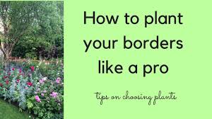 how to plant a border like a pro the