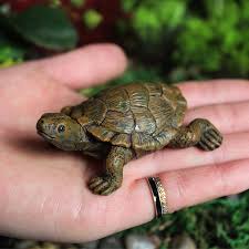 mini turtles miniature figurines