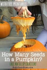 How Many Seeds In A Pumpkin Fall Estimation Fun