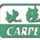 carpet king flooring contractor