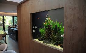 Freshwater Fish Tank Design Aquarium