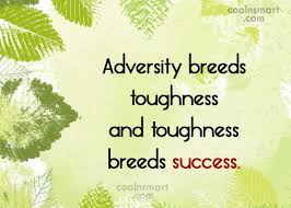 Here are 170 of the best success quotes i could find. Quote Adversity Breeds Toughness And Toughness Breeds Success Coolnsmart