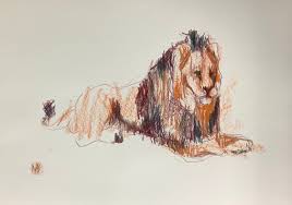 colour pencil sketch of asiatic lion