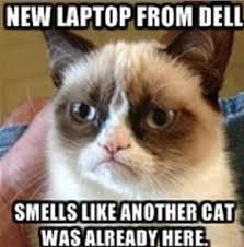 computers that smell like cat urine