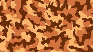 brown and black camouflage pattern