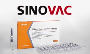 Singapore — individuals who have taken alternative vaccines under the world. Sinopharm Sinovac To Supply 550m Vaccines To Covax Global Times