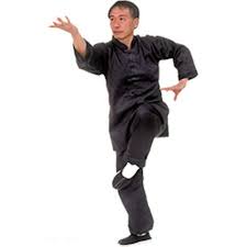 Tigerclaw Black Kung Fu Uniform Kong Fu Poses
