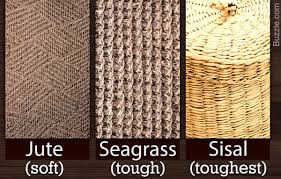 how to clean a natural fiber rug sisal