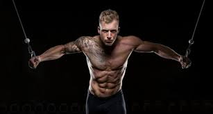 bodybuilding for beginners t