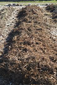 using fresh manure as fertilizer part 2