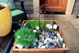 Miniature Garden On The Coffee Table