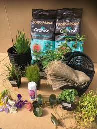 Beginners Pond Plant Collection For