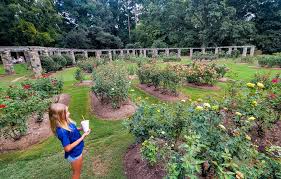 6 Beautiful Gardens In Raleigh Not To