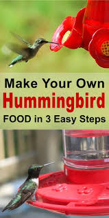 homemade hummingbird nectar food sugar