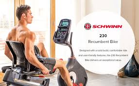 The console is loaded with various workout programs so that a. Amazon Com Schwinn 230 Recumbent Bike Sports Outdoors
