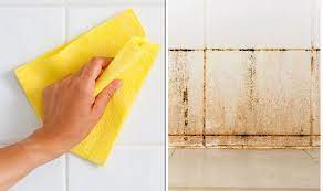 How To Clean Bathroom Tile Grout Home