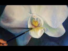 White Orchids Orchidee Drawing Flower