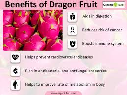 Image result for Dragon Fruit