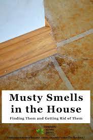 musty smells in the house finding