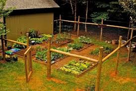vegetable garden backyard fences