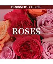 Lovely Roses Designer S Choice In