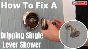 fix a leaking single lever shower